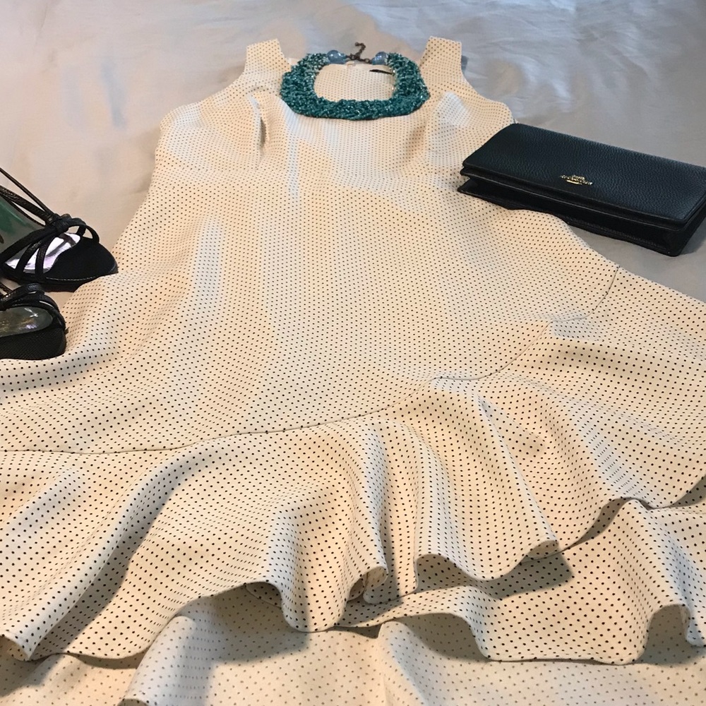 Banana Republic Ruffle Dress - Picture 3 of 6